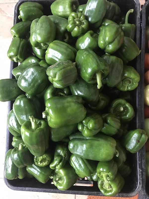 Green Peppers 