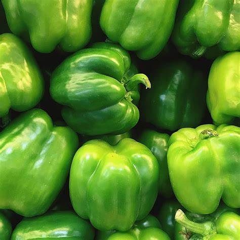 Green pepper