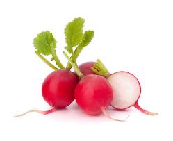 Radish 